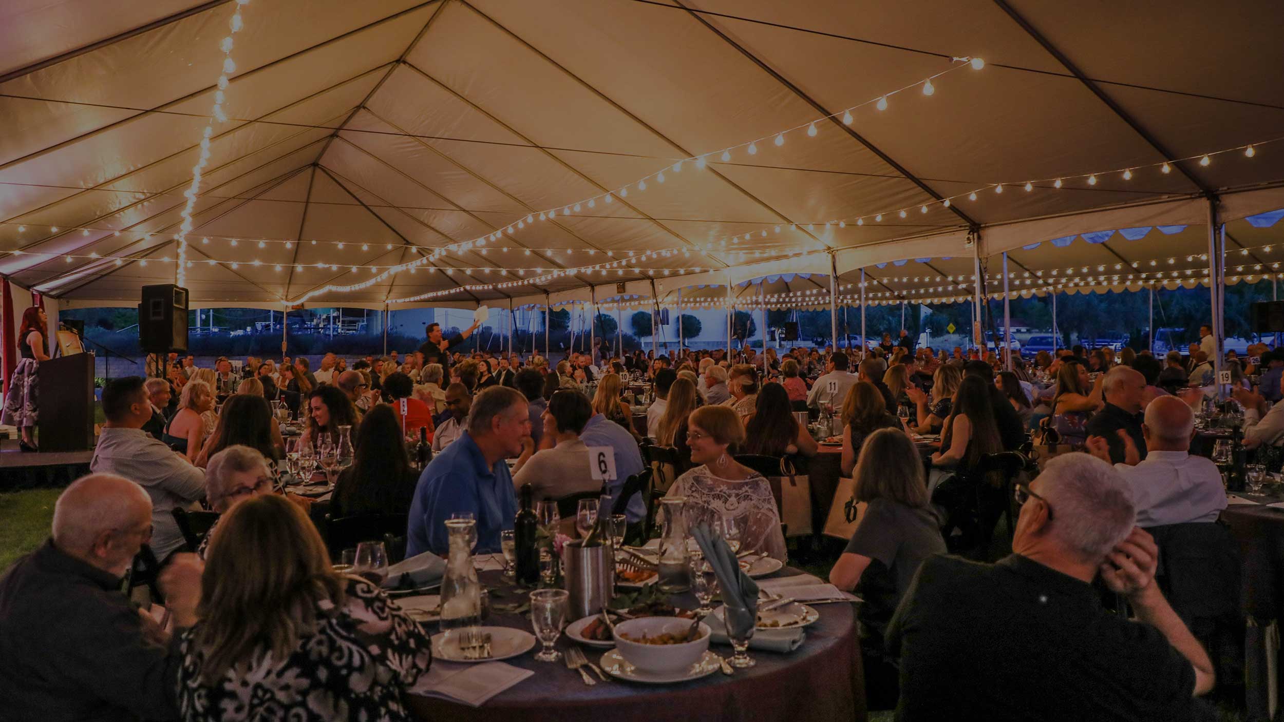 Lake County Wine Auction
